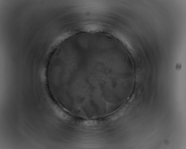 X0000102540353200808081527