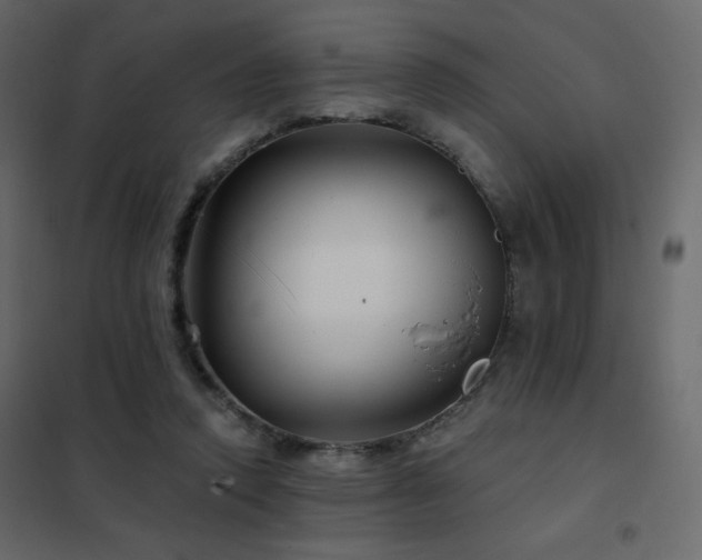 X0000102540354200808081527