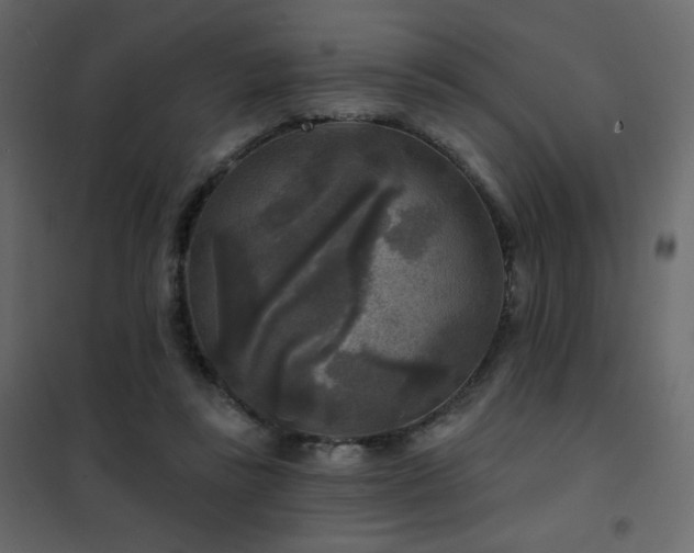X0000102540355200808081527