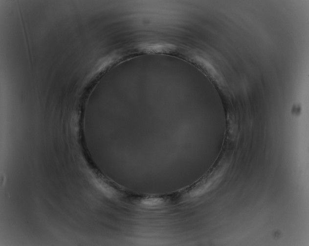 X0000102540357200808081527