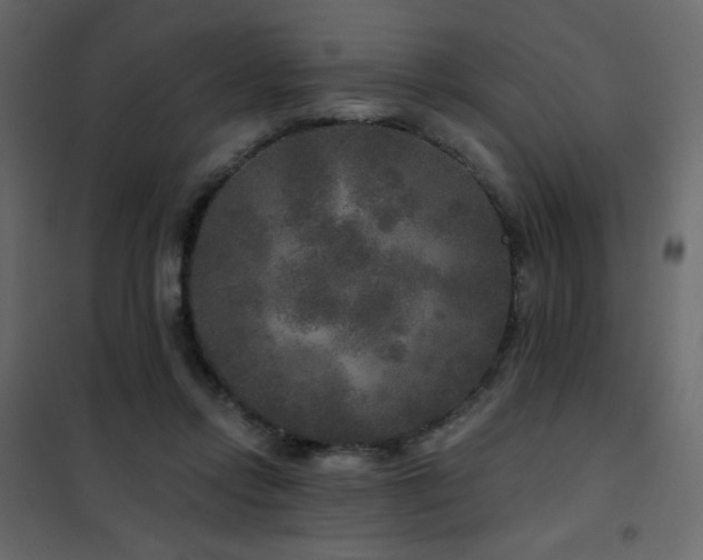 X0000102540358200808081527