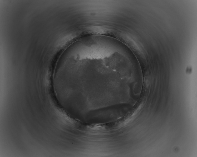 X0000102540359200808081527
