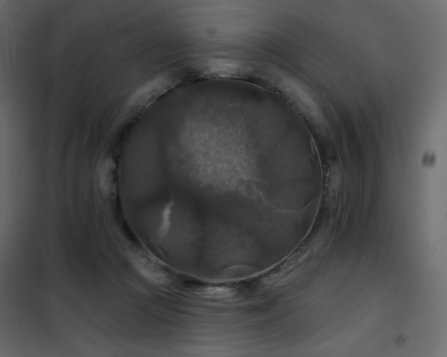X0000102540361200808081527