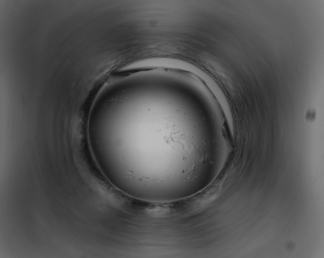 X0000102540362200808081527