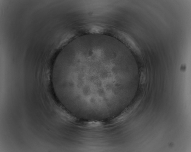 X0000102540363200808081527