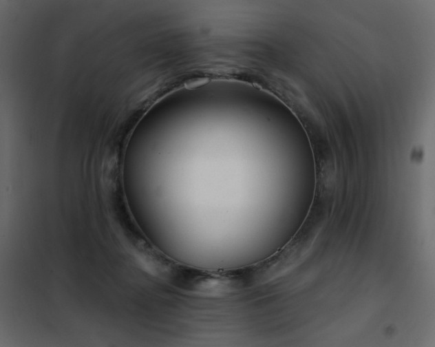 X0000102540364200808081527