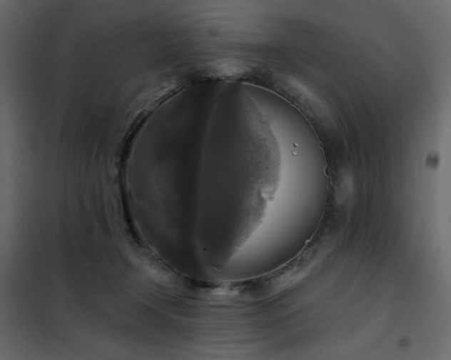 X0000102540366200808081527