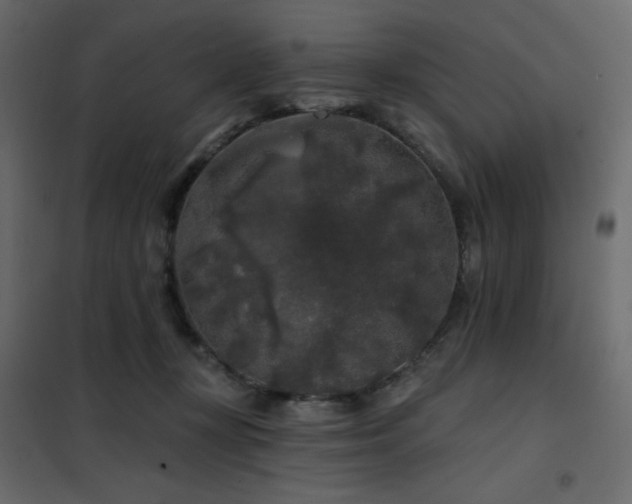 X0000102540367200808081527