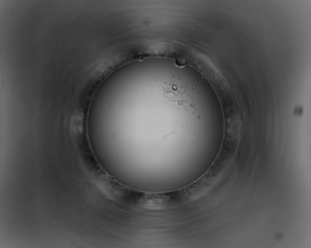 X0000102540368200808081527