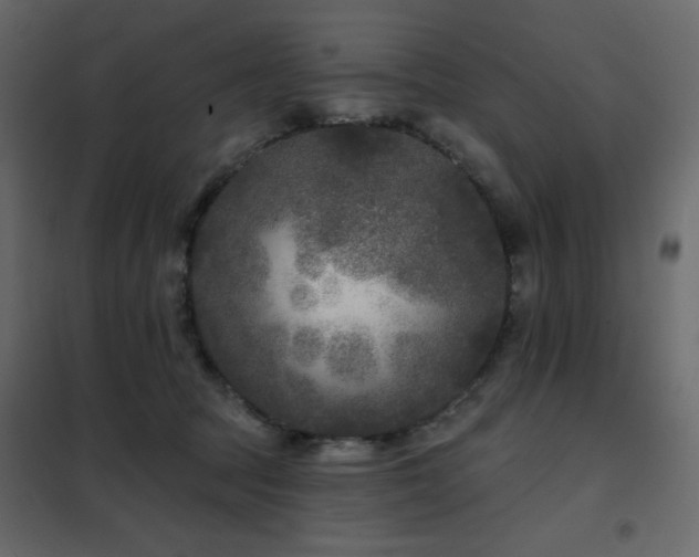 X0000102540369200808081527