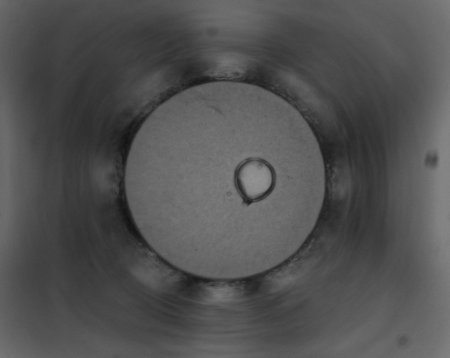 X0000102540370200808081527