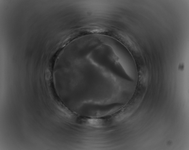 X0000102540371200808081527