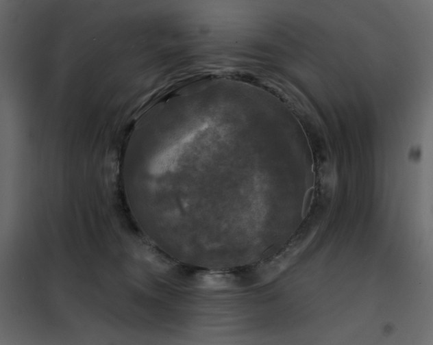 X0000102540372200808081527