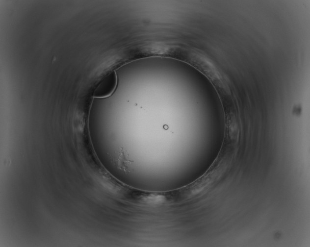 X0000102540374200808081527