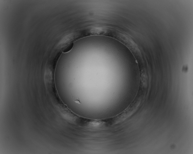 X0000102540375200808081527