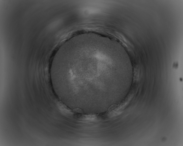 X0000102540377200808081527