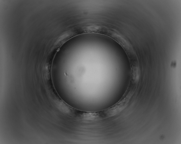 X0000102540378200808081527