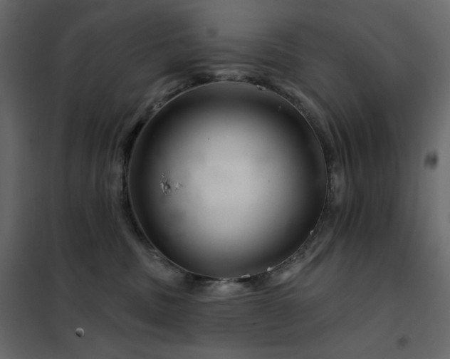 X0000102540379200808081527