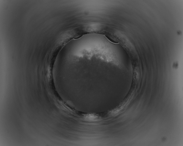 X0000102540380200808081527
