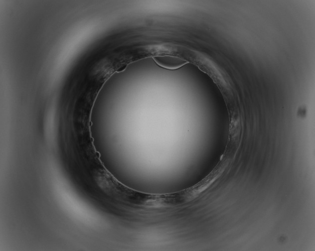 X0000102540381200808081527