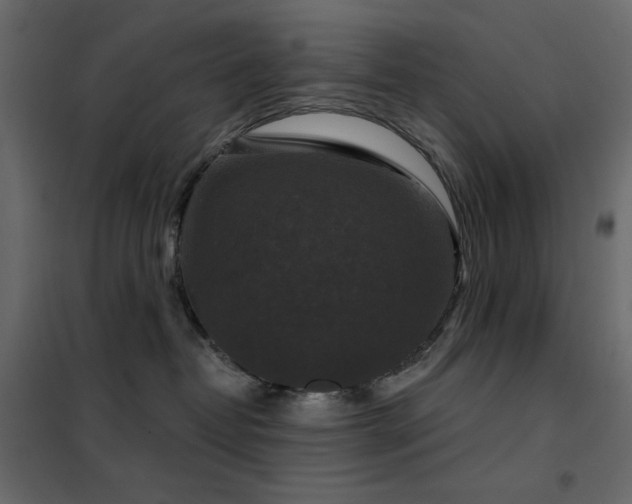 X0000102540382200808081527