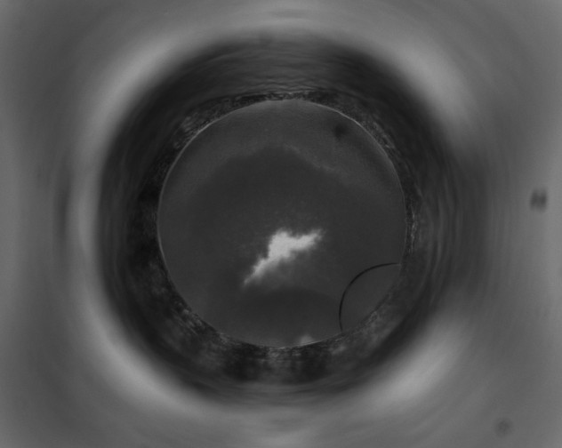 X0000102540383200808081527