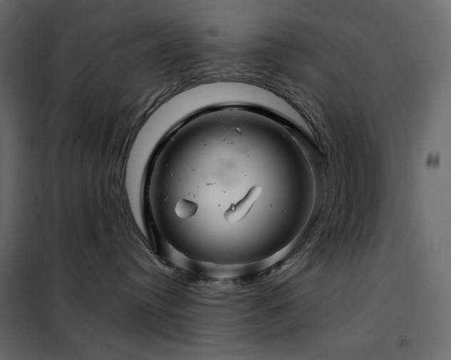 X0000102540384200808081527
