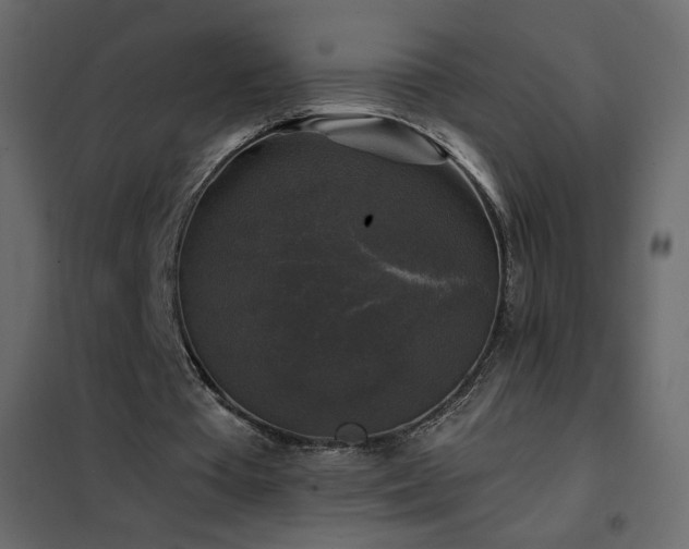 X0000102540385200808081526