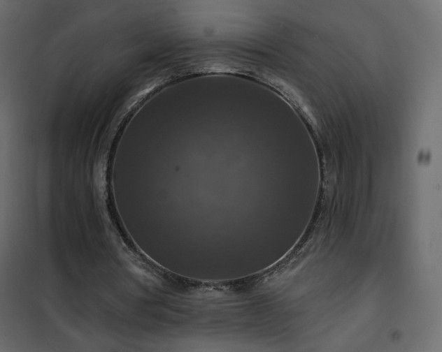 X0000102540386200808081526