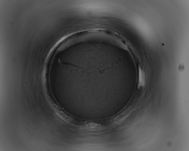 X0000102540387200808081526