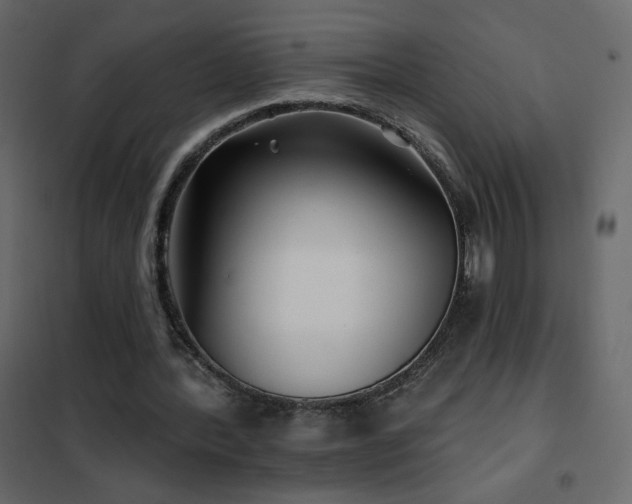 X0000102540388200808081526