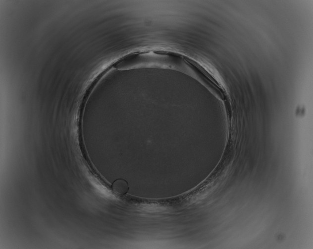 X0000102540389200808081526