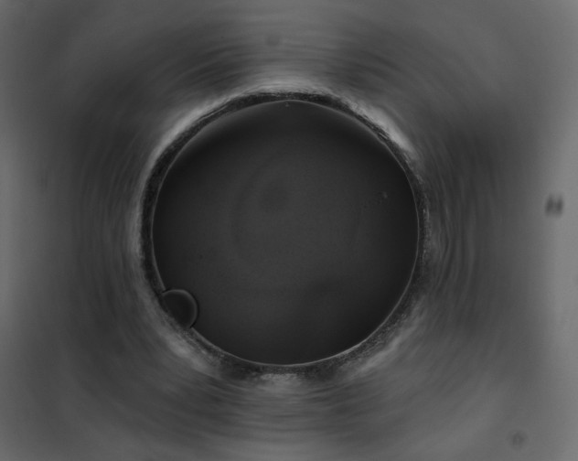 X0000102540391200808081526