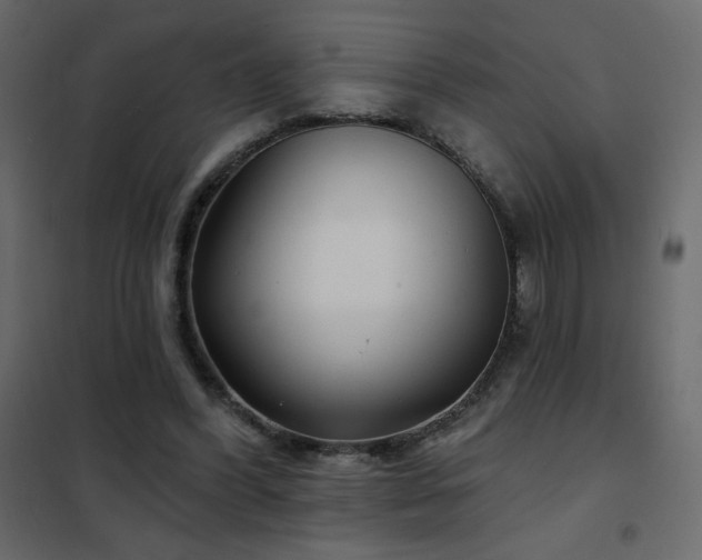X0000102540396200808081526