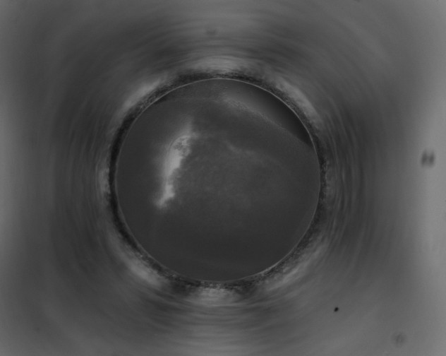 X0000102540399200808081526