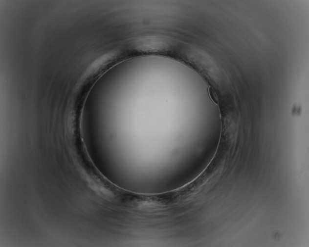 X0000102540400200808081526