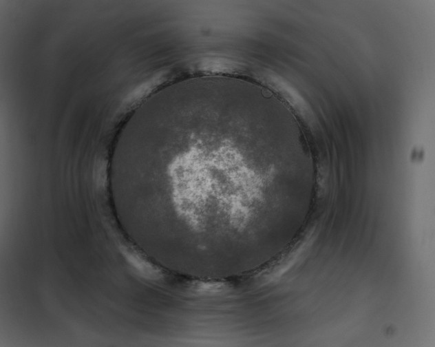 X0000102540401200808081526