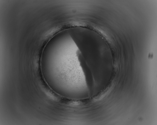 X0000102540402200808081526