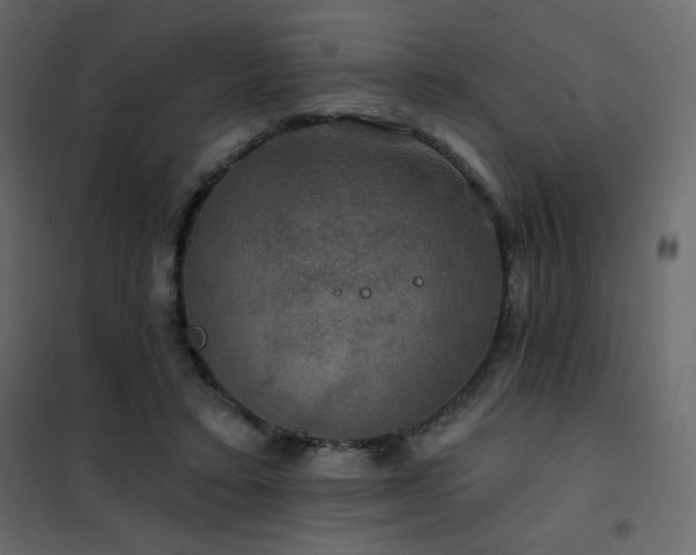 X0000102540403200808081526