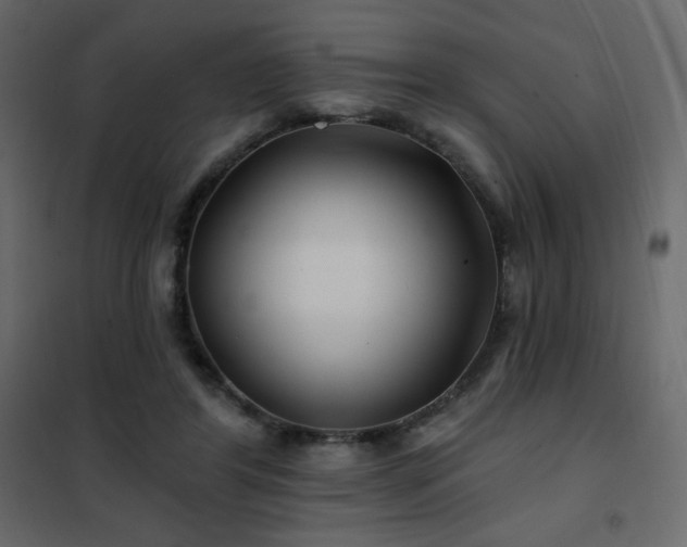 X0000102540404200808081526