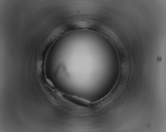X0000102540406200808081526