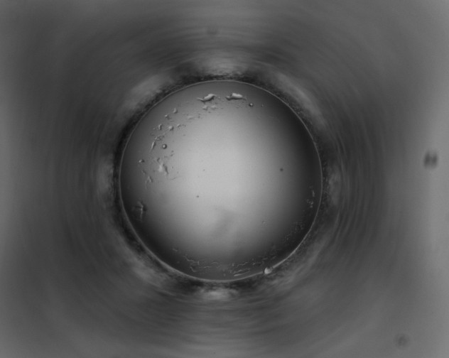 X0000102540407200808081526