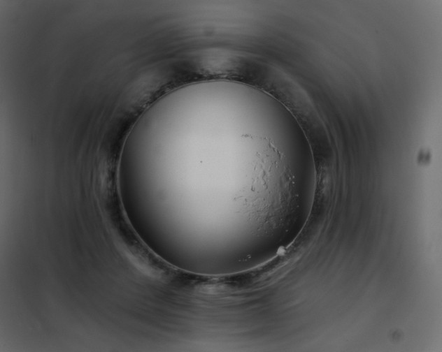X0000102540408200808081526