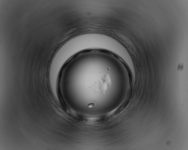 X0000102540409200808081526