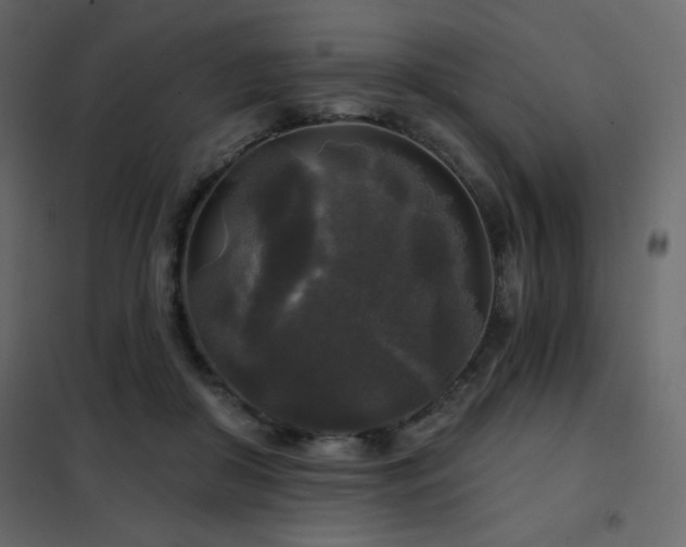 X0000102540410200808081526