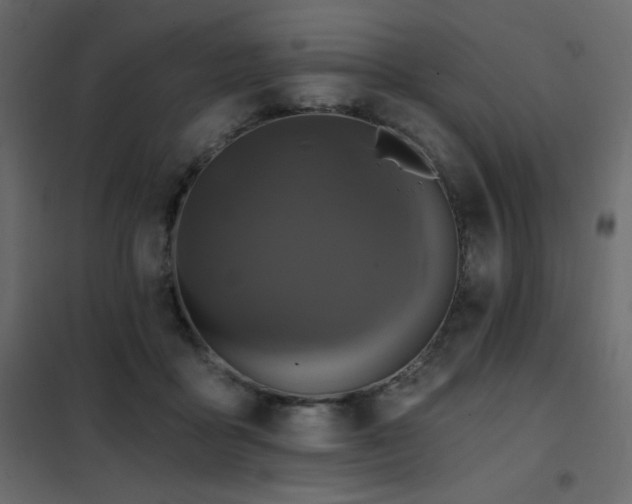 X0000102540411200808081526