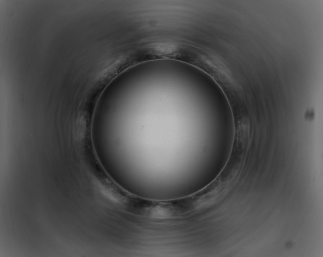 X0000102540412200808081526