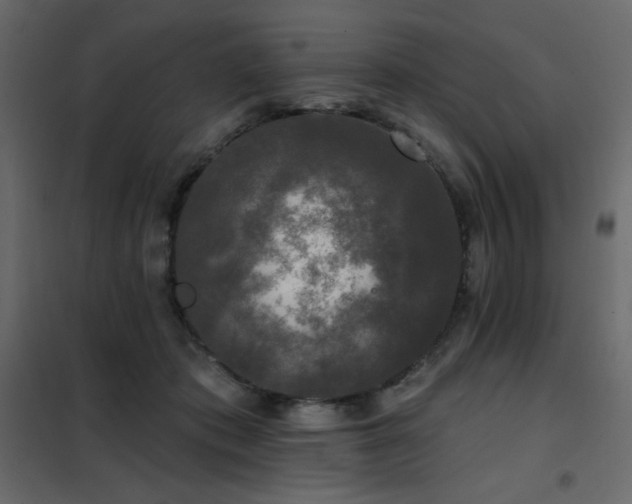 X0000102540413200808081526