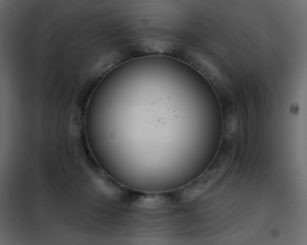 X0000102540414200808081526