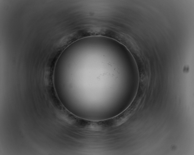 X0000102540416200808081526